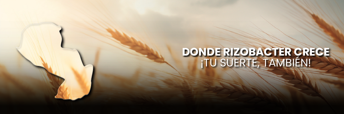 HEADER_PARAGUAY OP 01
