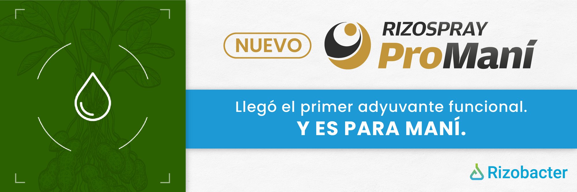 header para landing_Mesa de trabajo 1 copia